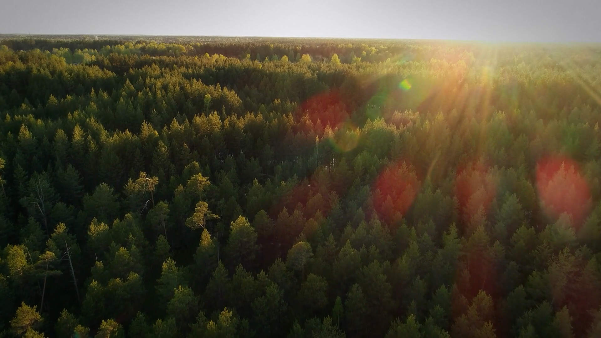 Оленьими тропами. Тайны Керженского заповедника Оленьими тропами. Тайны Керженского заповедника