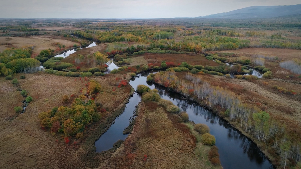 Тайны Большехехцирского заповедника. Эффект бабочек Тайны Большехехцирского заповедника. Эффект бабочек