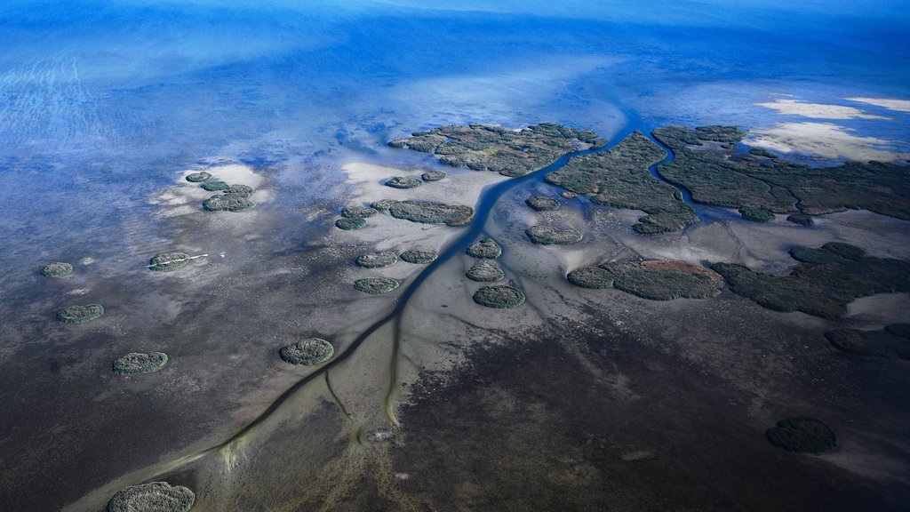 В Дагестане прошёл Международный экологический форум Прикаспийских государств В Дагестане прошёл Международный экологический форум Прикаспийских государств