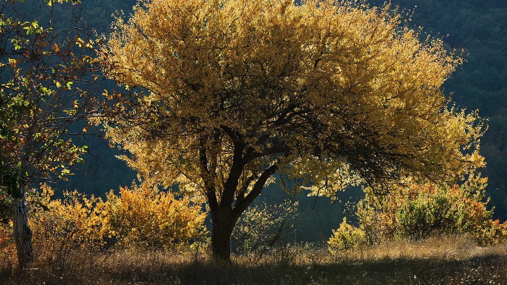 Утверждено постановление о создании национального парка «Святые горы» Утверждено постановление о создании национального парка «Святые горы»