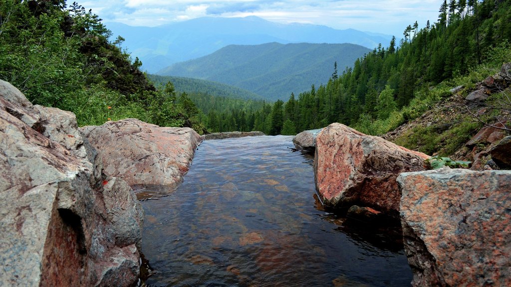 Национальный парк «Шушенский бор» отмечает 30-летие Национальный парк «Шушенский бор» отмечает 30-летие