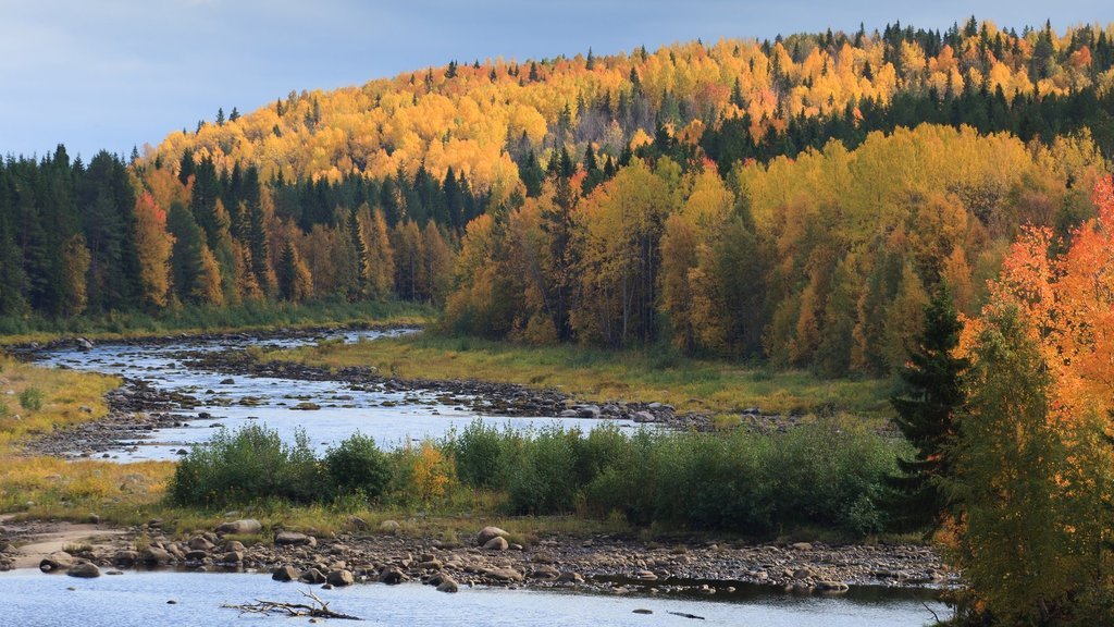 Заповедники - Дикая природа России