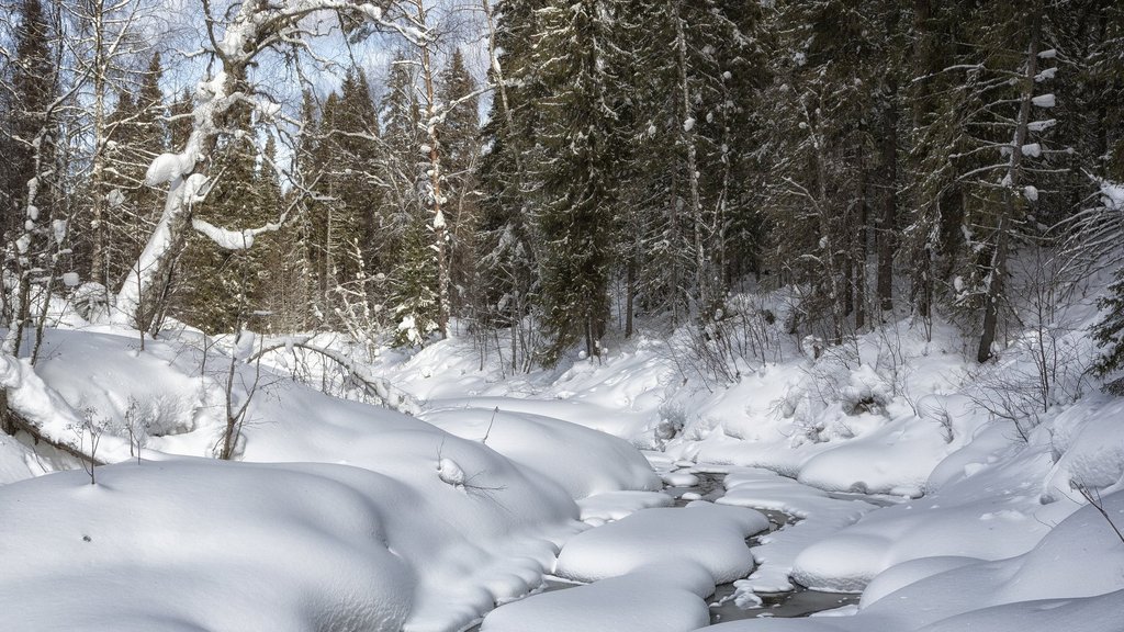 Заповедники - Дикая природа России