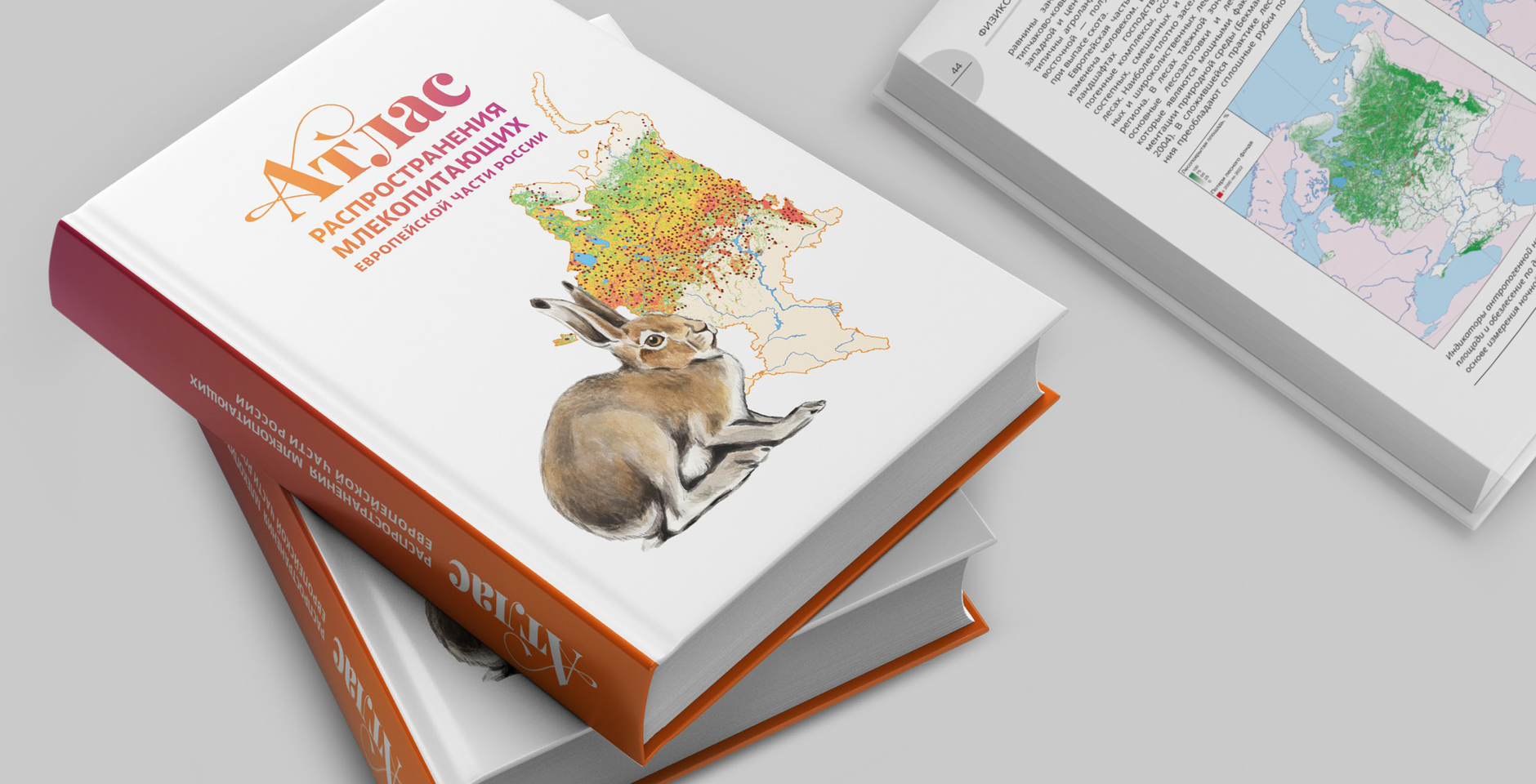 Атлас распространения млекопитающих европейской части России. Фото: портал «Млекопитающие России»