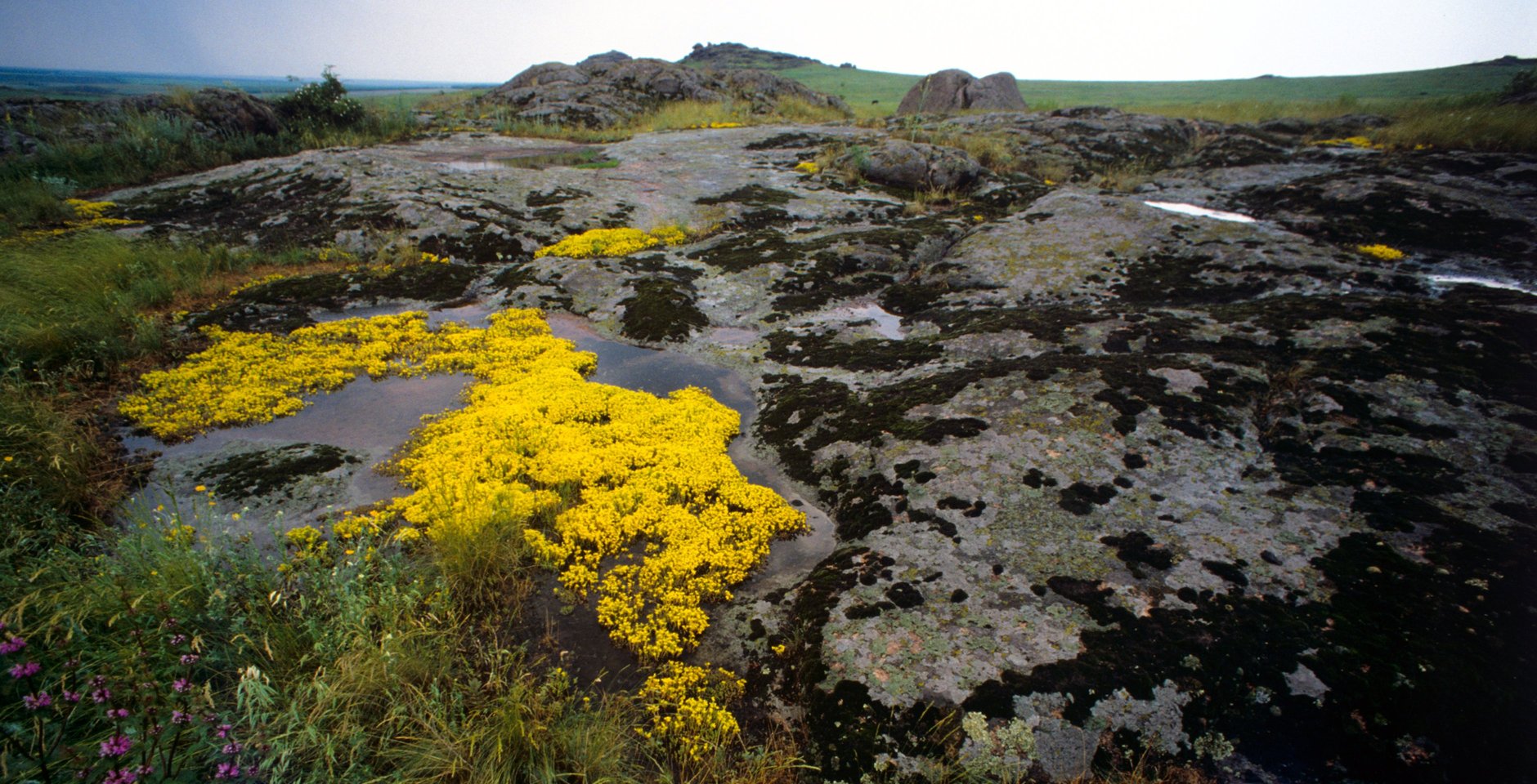 Степь подступает к горам в заповеднике "Хомутовская степь". Фото: РИА Новости, Юрий Абрамочкин