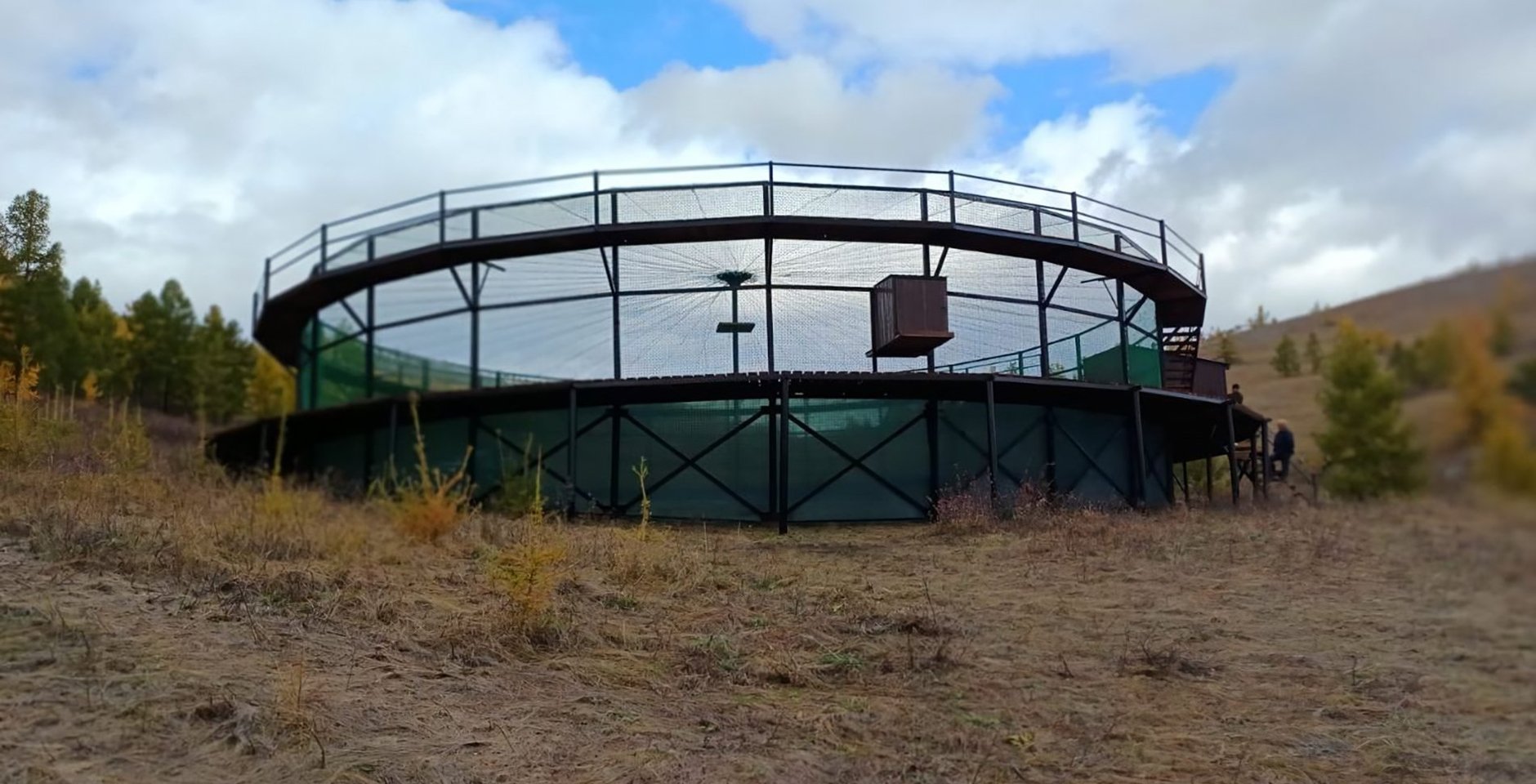 Облёточник для подготовки и выпуска соколов-балобанов в дикую природу. Фото: Хакасский заповедник