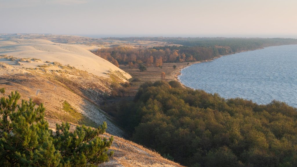 В нацпарке «Куршская коса» учёные посчитали диких животных В нацпарке «Куршская коса» учёные посчитали диких животных