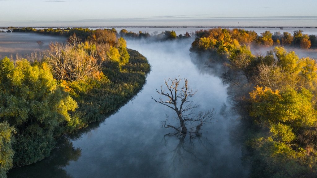Астраханскому заповеднику – 105 лет Астраханскому заповеднику – 105 лет