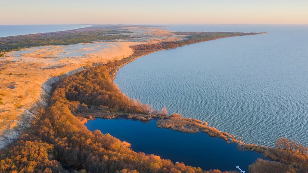 На Куршской косе провели учёт численности диких животных На Куршской косе провели учёт численности диких животных