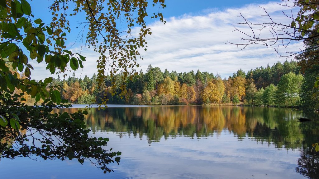 Приокско-Террасный заповедник отмечает 80-летний юбилей Приокско-Террасный заповедник отмечает 80-летний юбилей