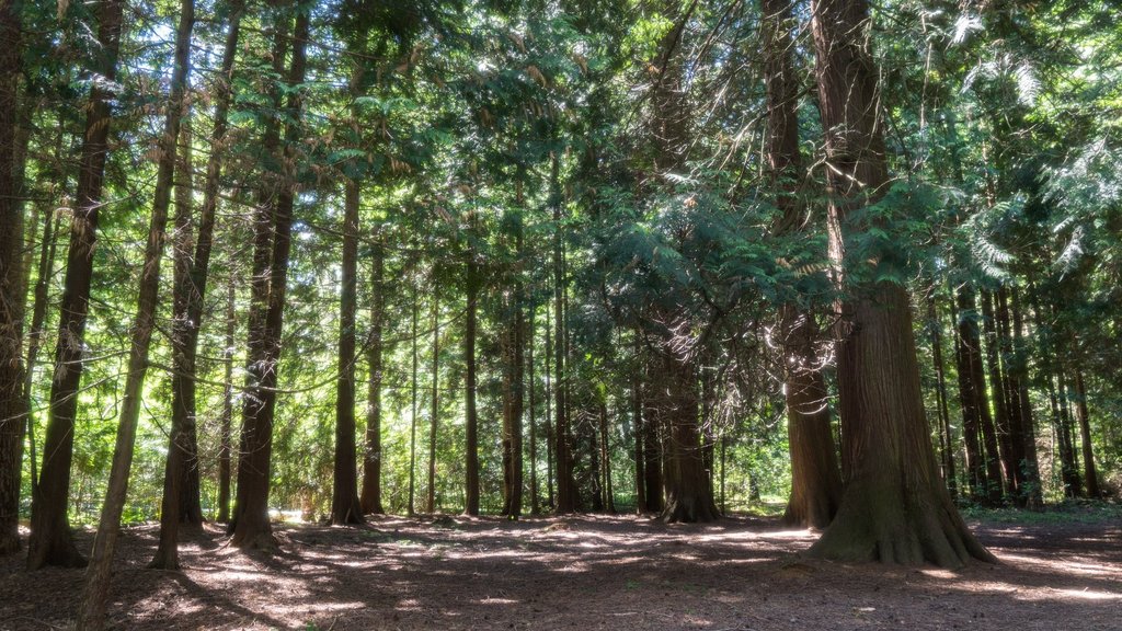 Директор «Куршской косы» и национального парка «Виштынецкий» рассказал о планах по развитию ООПТ Директор «Куршской косы» и национального парка «Виштынецкий» рассказал о планах по развитию ООПТ