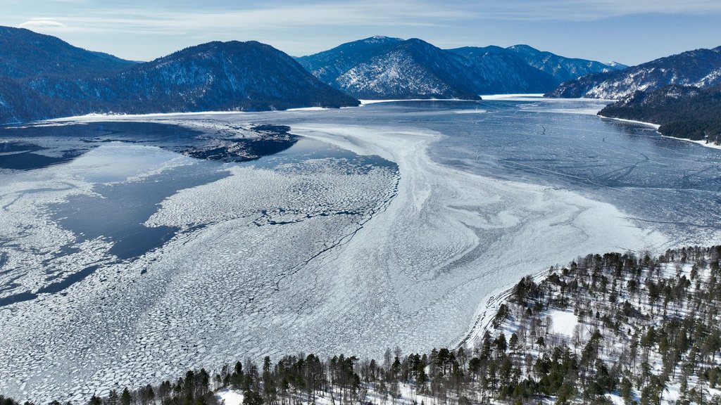 В Алтайском заповеднике провели учёт на труднодоступном участке территории В Алтайском заповеднике провели учёт на труднодоступном участке территории