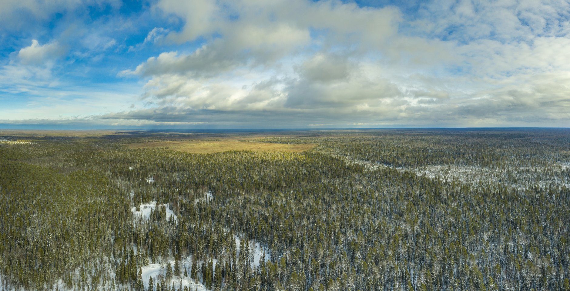 Национальный парк «Койгородский». Фото: Игорь Дмитриев