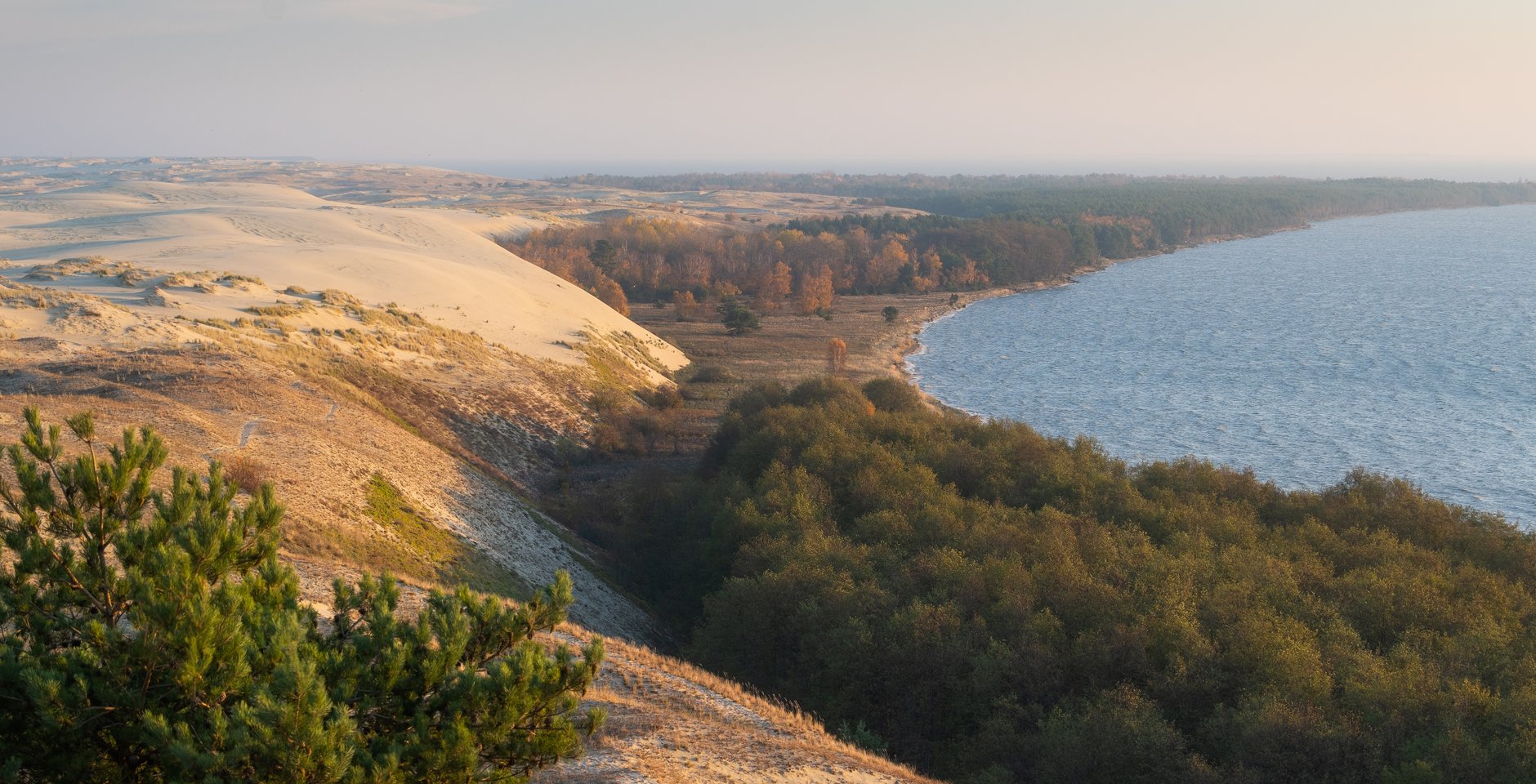 Мыс Восточный. Национальный парк «Куршская коса». Фото: Валерий Притченко