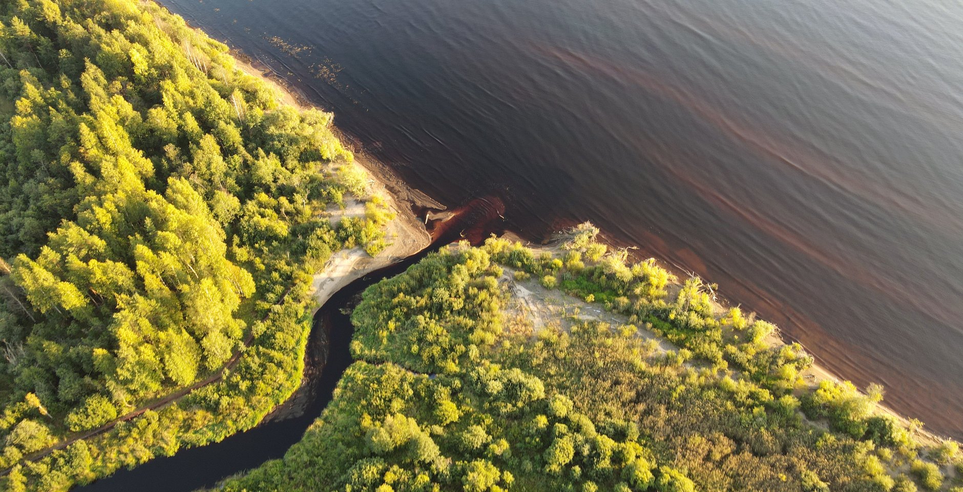 Устье реки Гумбарка. Нижне-Свирский заповедник. Фото: Дмитрий Стариков