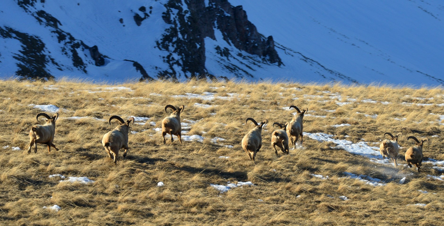 Кавказские туры. Фото: РИА Новости, Игорь Онучин