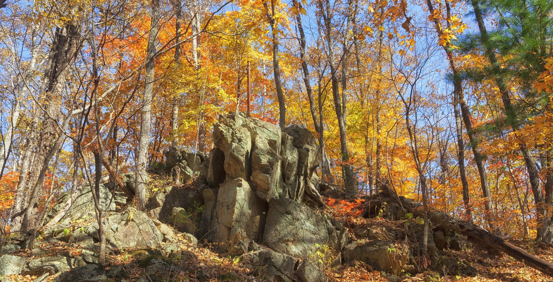 Национальный парк «Земля леопарда». Фото: Игорь Дмитриев
