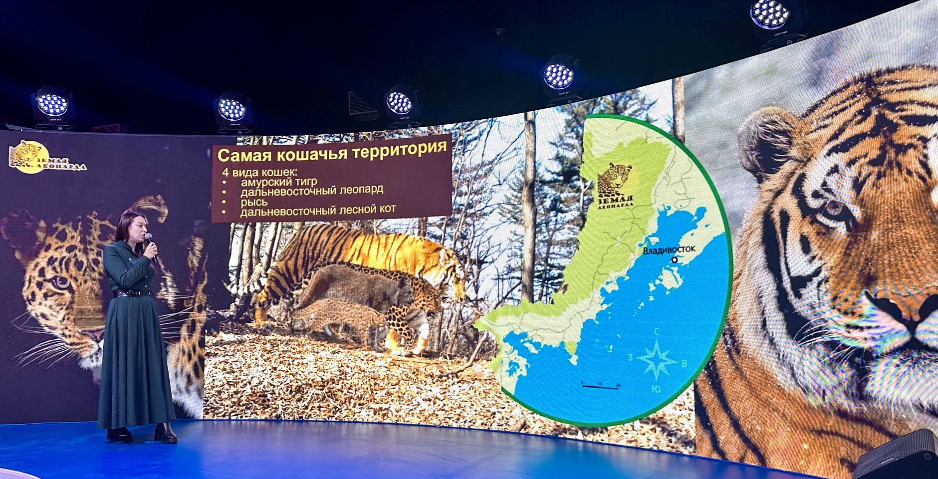 День амурского тигра в павильоне Минприроды России «Природоград» на ВДНХ