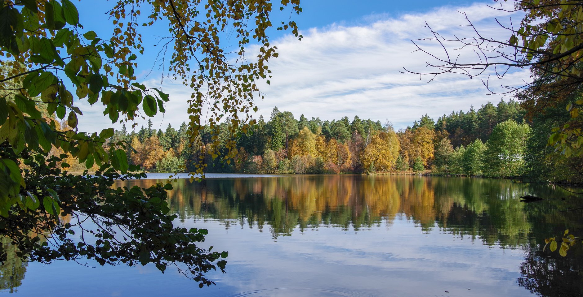 Пруд. Приокско-Террасный заповедник. Фото: Ольга Калинина