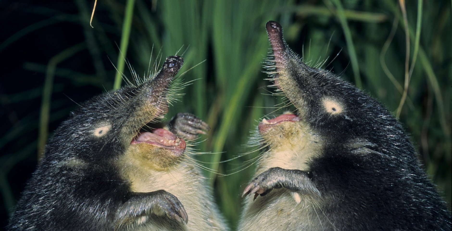 Ең үлкен жопалардың порно фотолары Видеода душта қалай дұрыс жыныстық қатынасқа түсуге болады