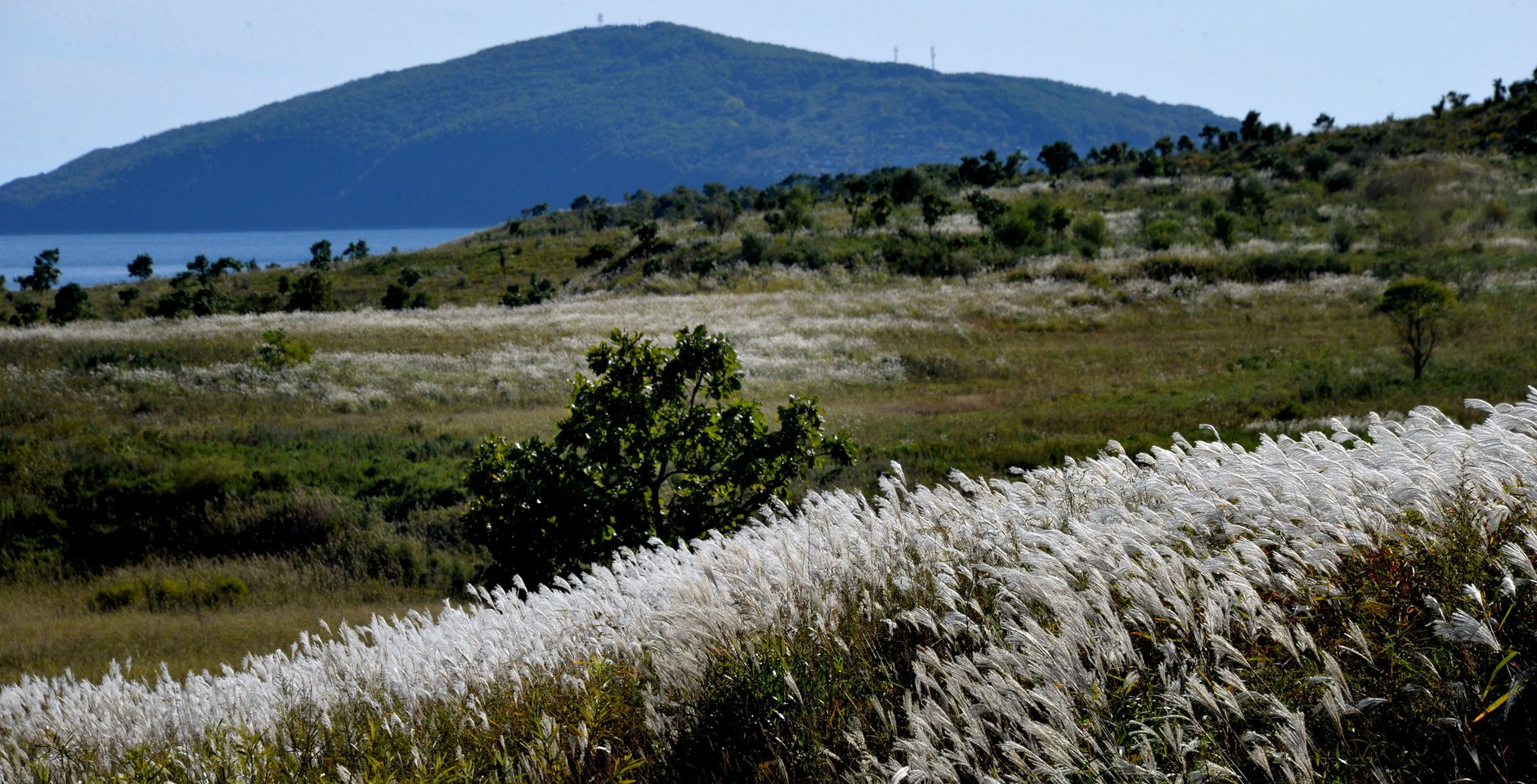Виды Приморского края. Фото: РИА Новости, Виталий Аньков