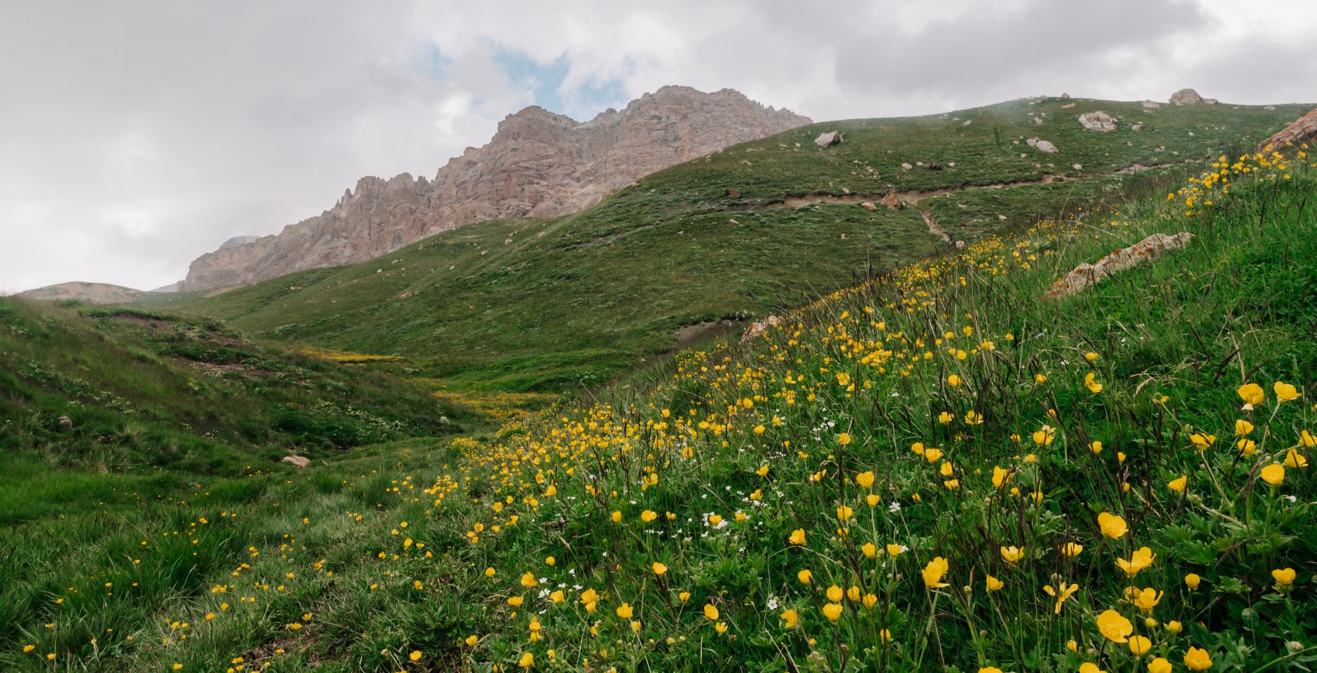В кластере «Шалбуздаг». Национальный парк «Самурский». Фото: Руслан Алимов
