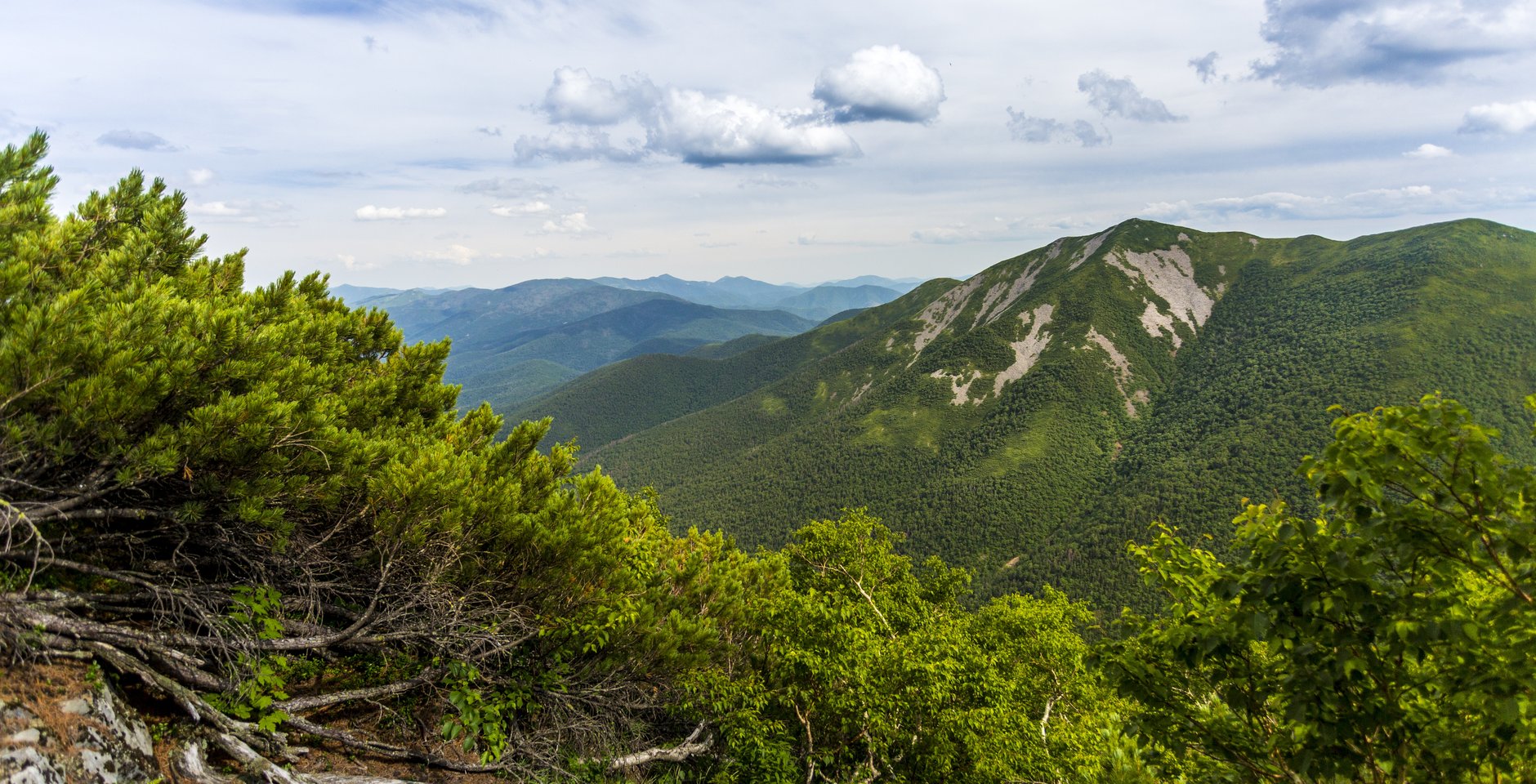 По дороге на гору Глухоманку. Сихотэ-Алинский заповедник. Фото: Евгений Табалыкин