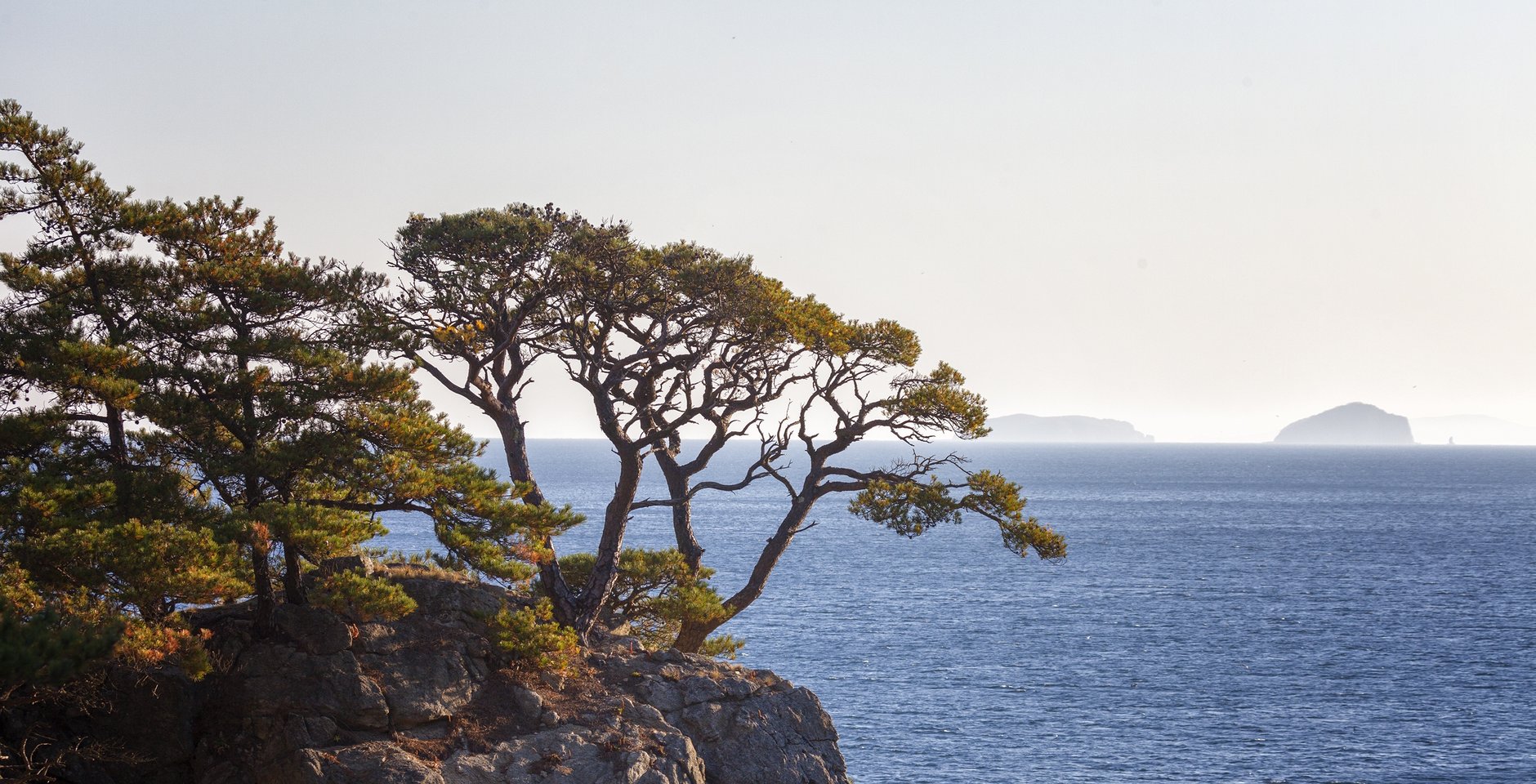 Национальный парк «Земля леопарда». Фото: Игорь Дмитриев